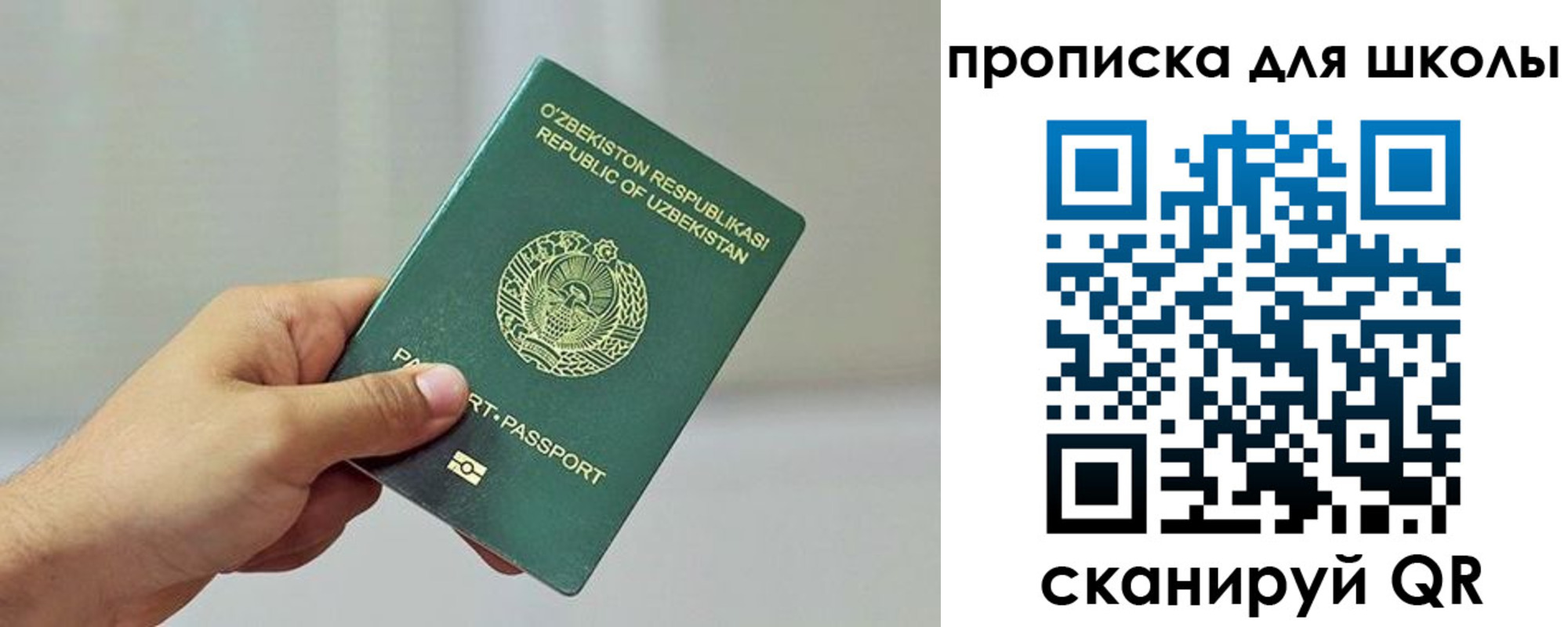 временная регистрация гарантия в Ясном